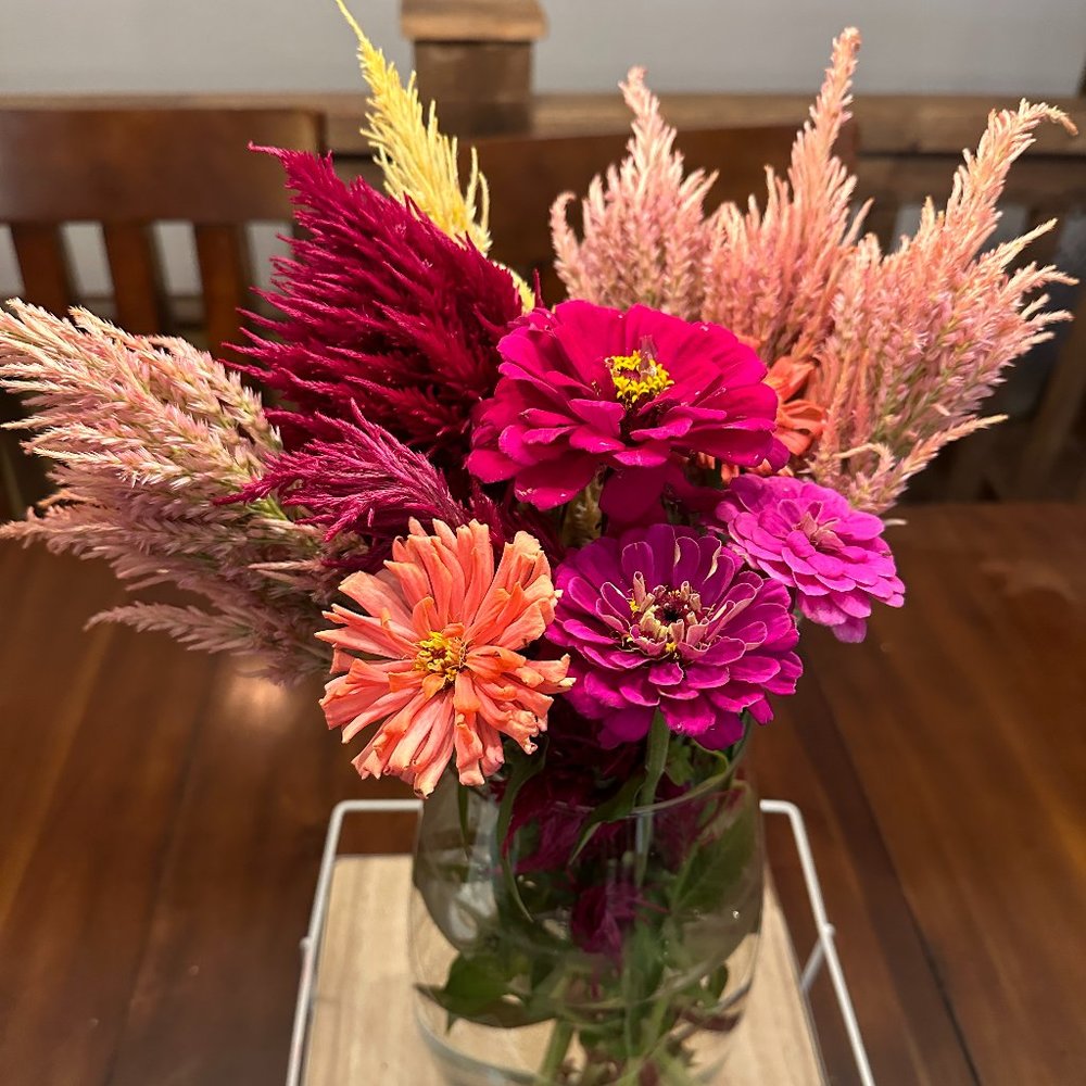 Meet your Posher, Brandi